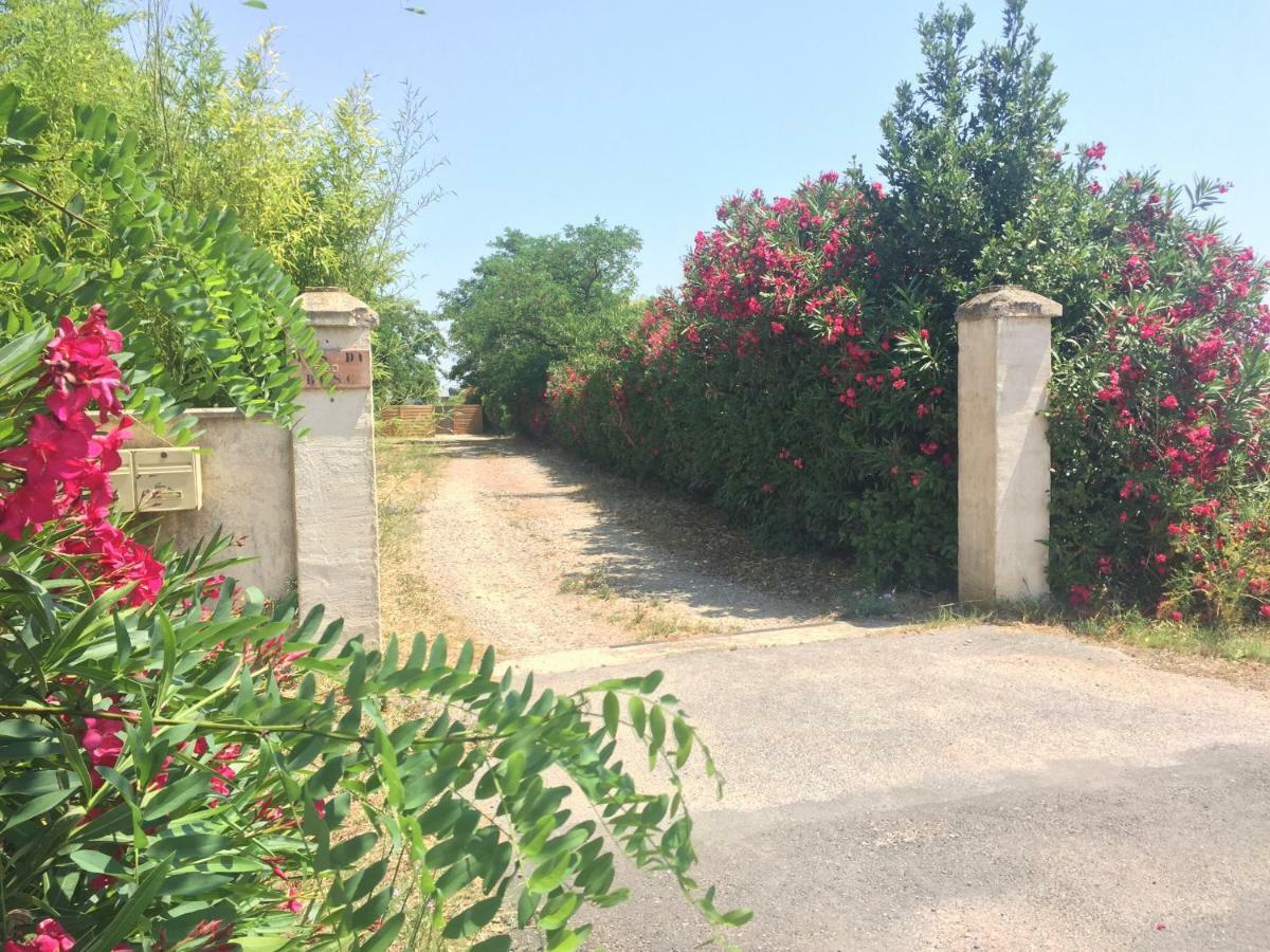 Le Mas Du Bosc Διαμέρισμα Mauguio Εξωτερικό φωτογραφία